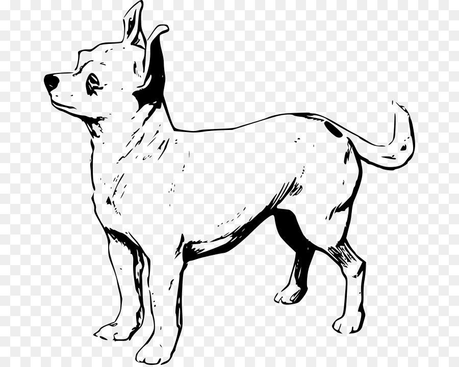 Chihuahua，Cachorro PNG