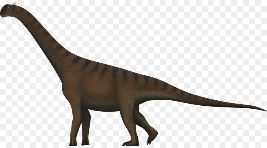 Camarasaurus，Brachiosaurus PNG