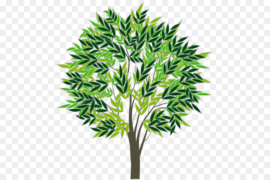 árbol，Idea PNG