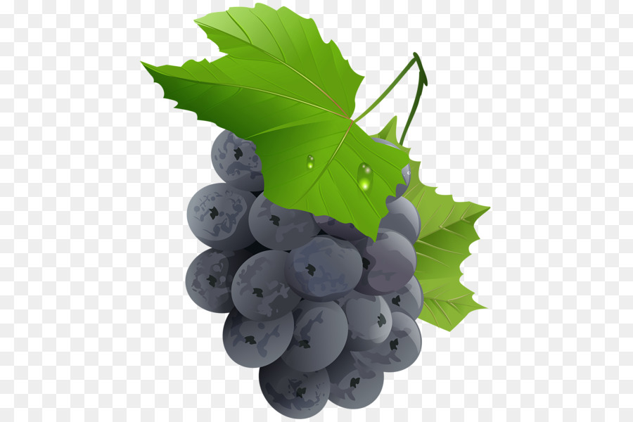 Uvas Rojas，Enredadera PNG