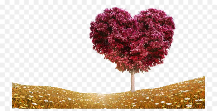 árbol En Forma De Corazón，Rosa PNG