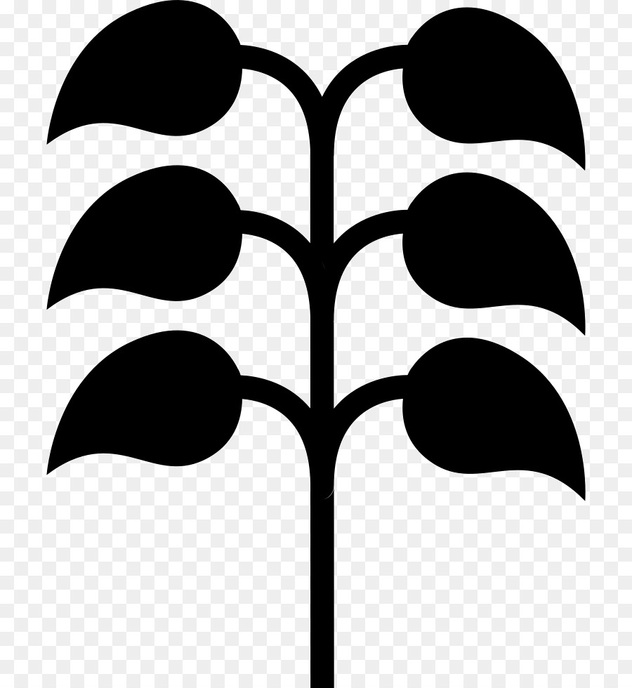 Brote De Planta，Planta De Semillero PNG