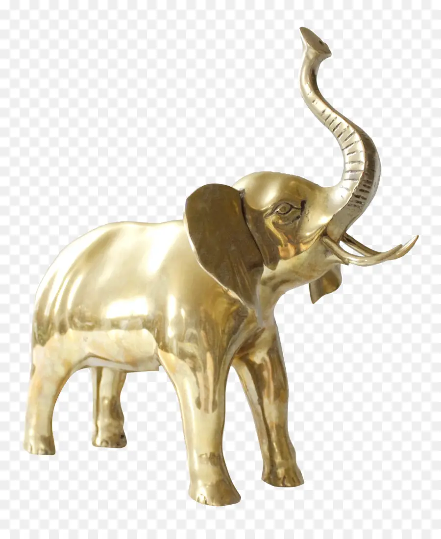 Elefante Dorado，Latón PNG