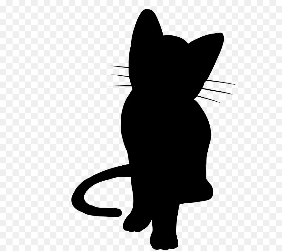 Gato Negro，Gatito PNG