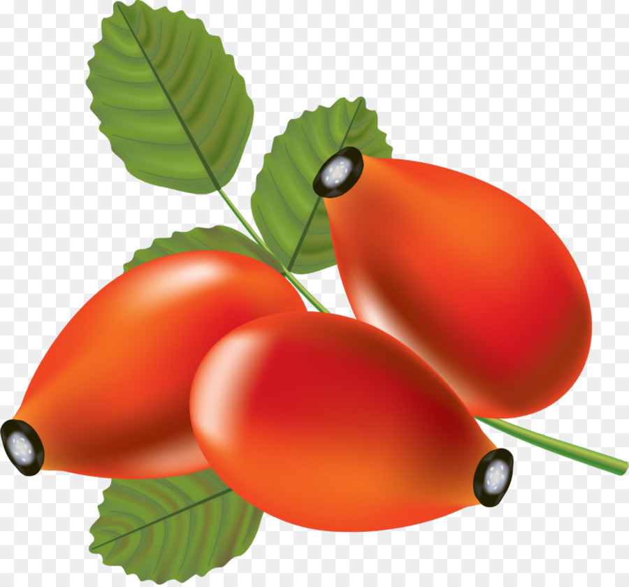 Berry，Dibujo PNG