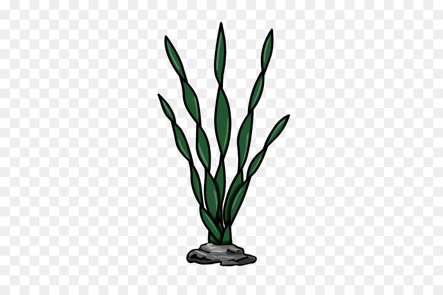 Césped，Planta PNG