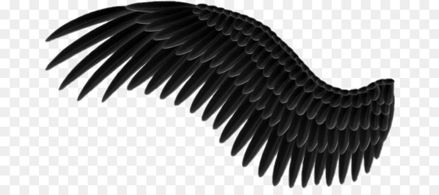 Alas Negras，Plumas PNG