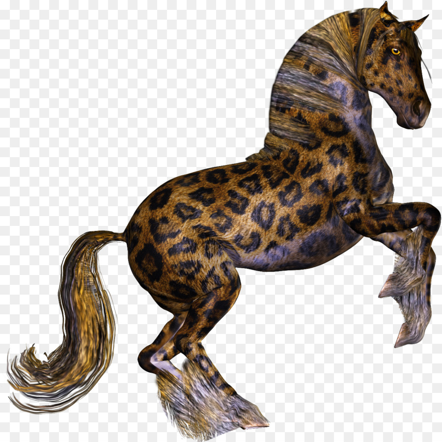 Leopard，Appaloosa PNG