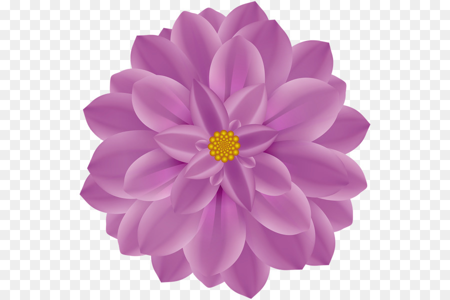 Dalia，Flor PNG