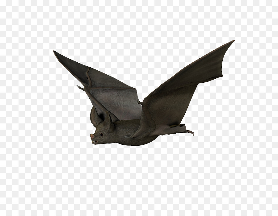 Bat，Artes Visuales PNG