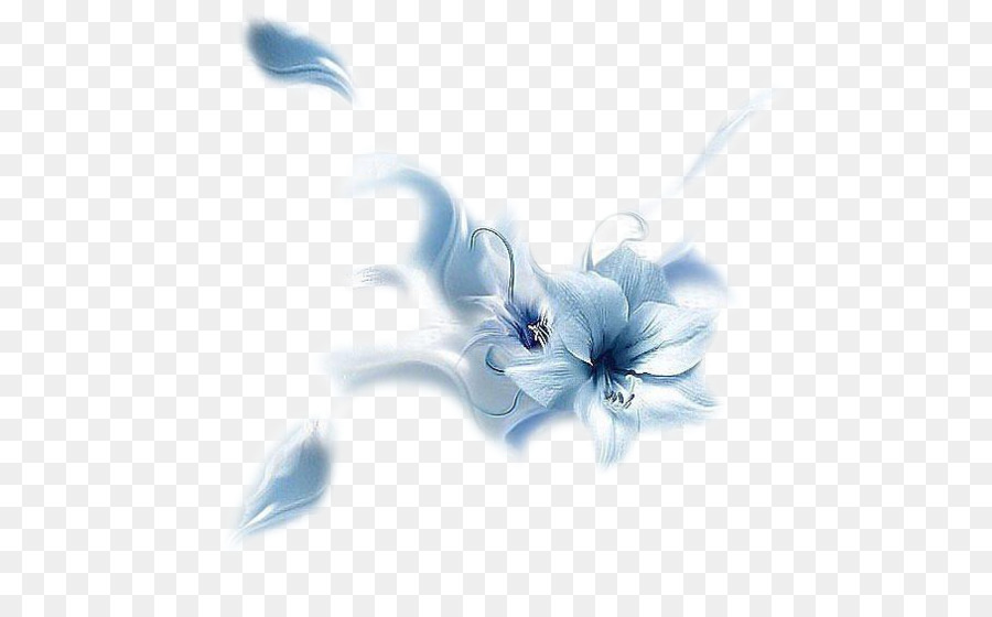 Flores，Florecer PNG