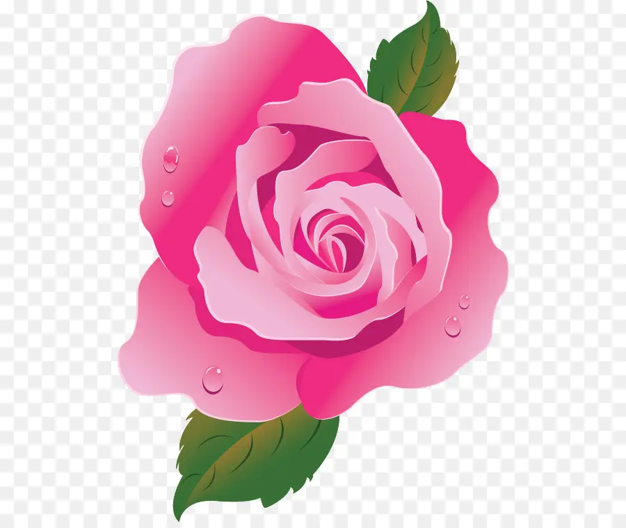 Rosas De Jardín，Rosa PNG