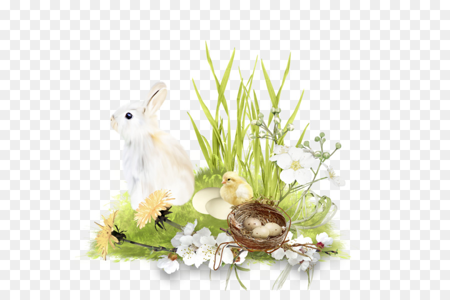 Conejito De Pascua，Conejo PNG