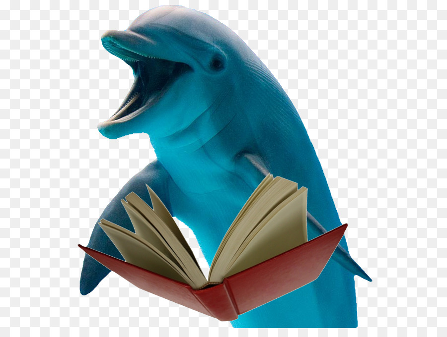 Dolphin，La Base De Datos PNG