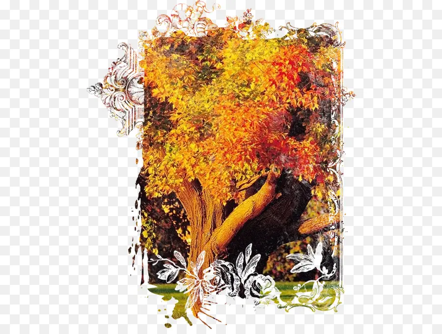 Otoño，Otoño árbol Césped Paisaje Co PNG