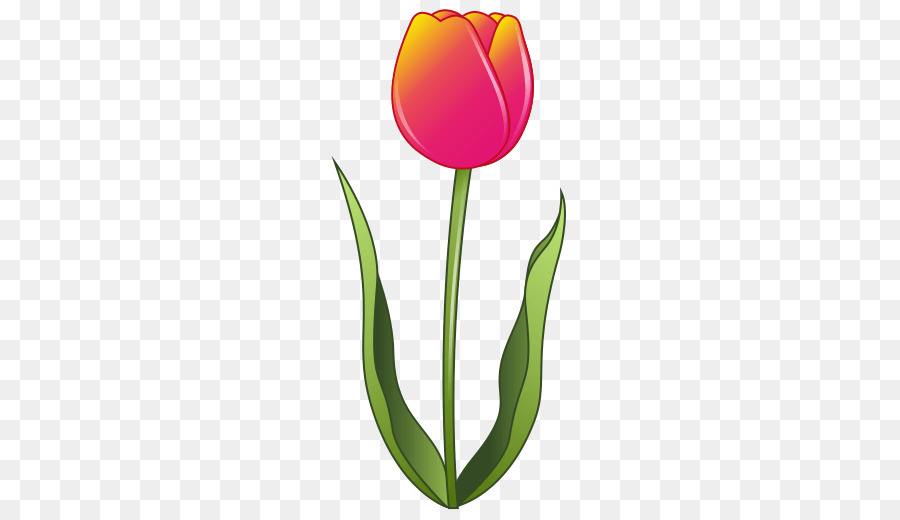 Tulipán，Planta PNG