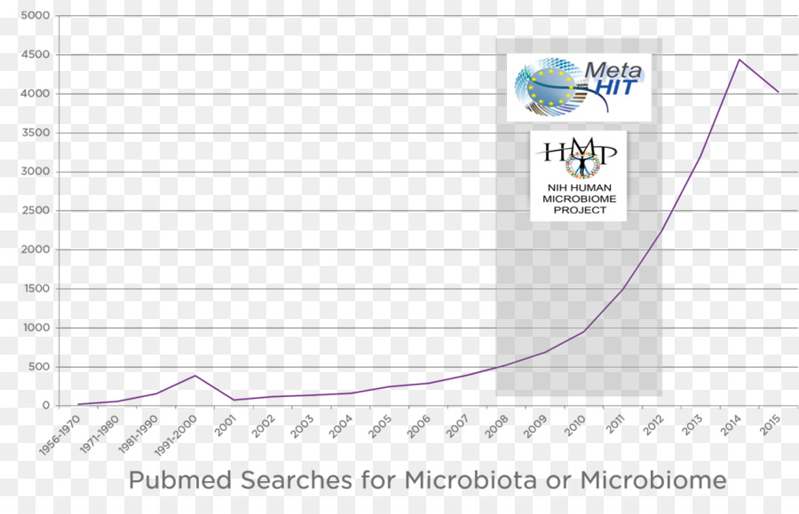 Microbiota，Flora Intestinal PNG