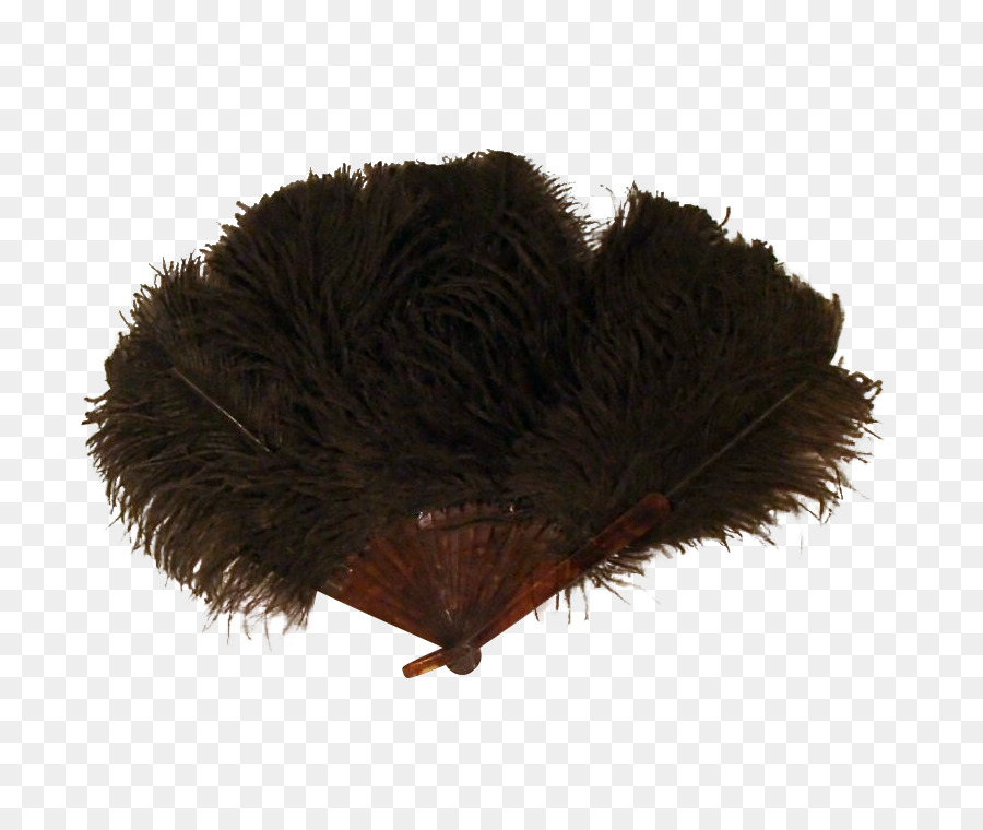 Pluma，En La época Victoriana PNG