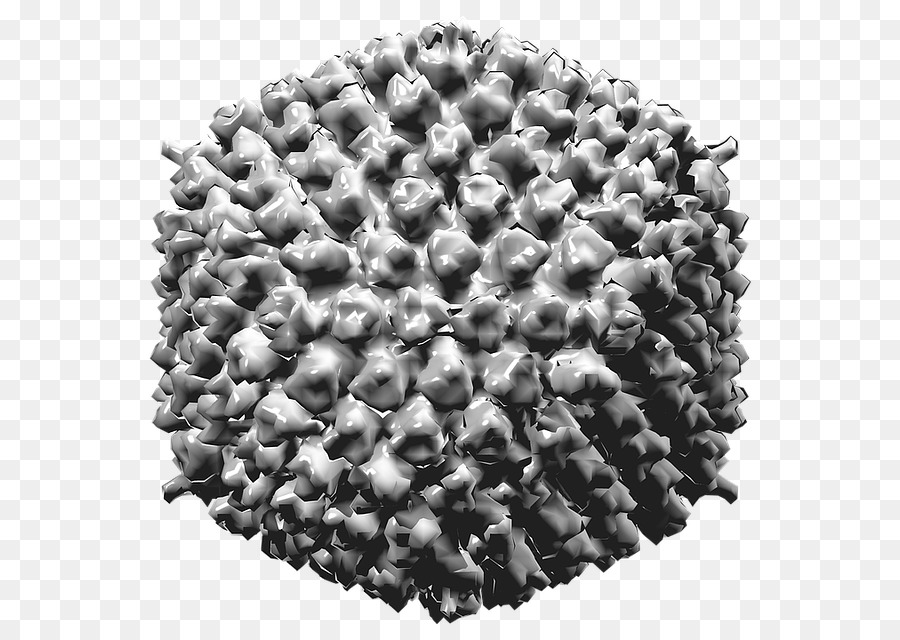 Adenoviridae，Virus PNG