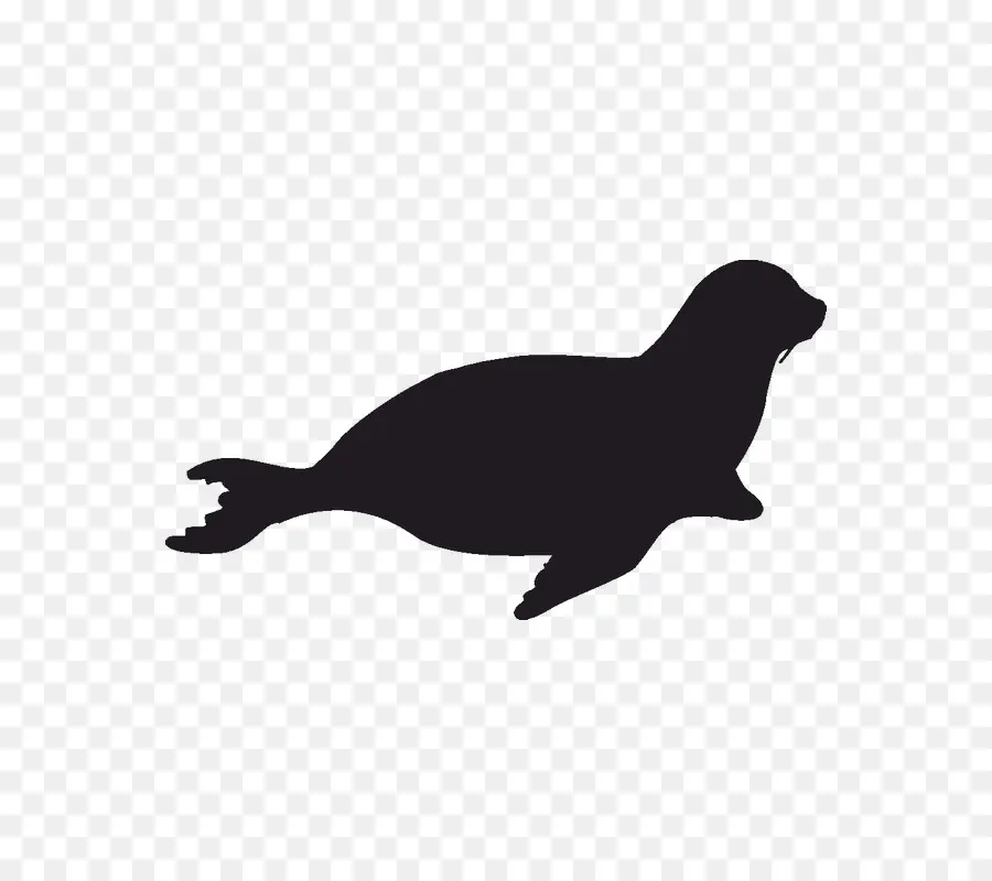 Silueta De Foca，Marina PNG