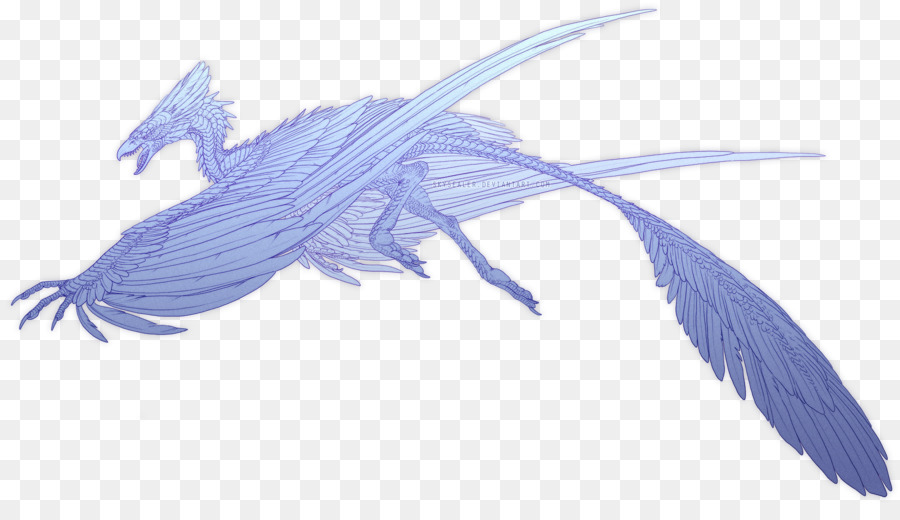 Dragón，Vuelo PNG