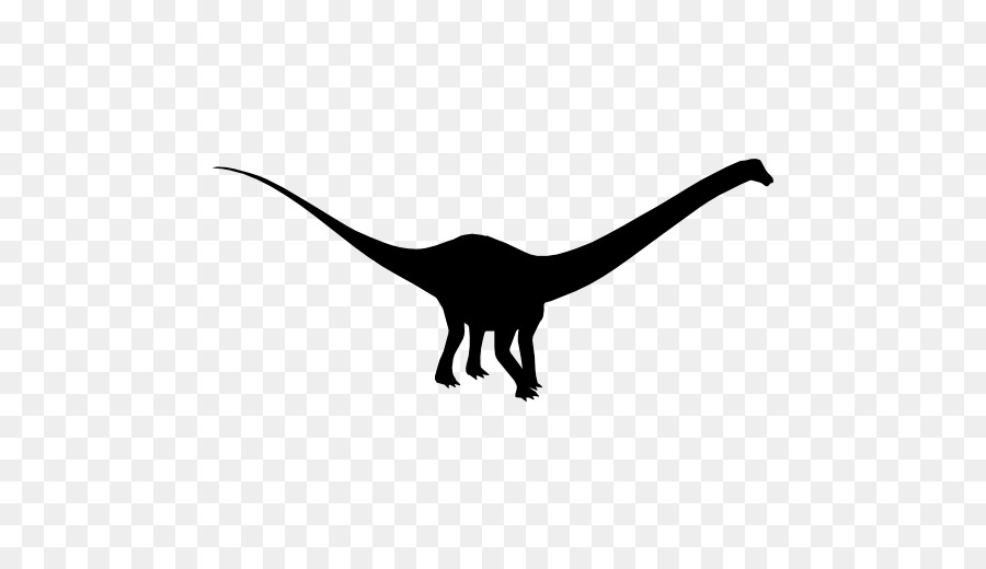 Diplodocus，Irritator PNG