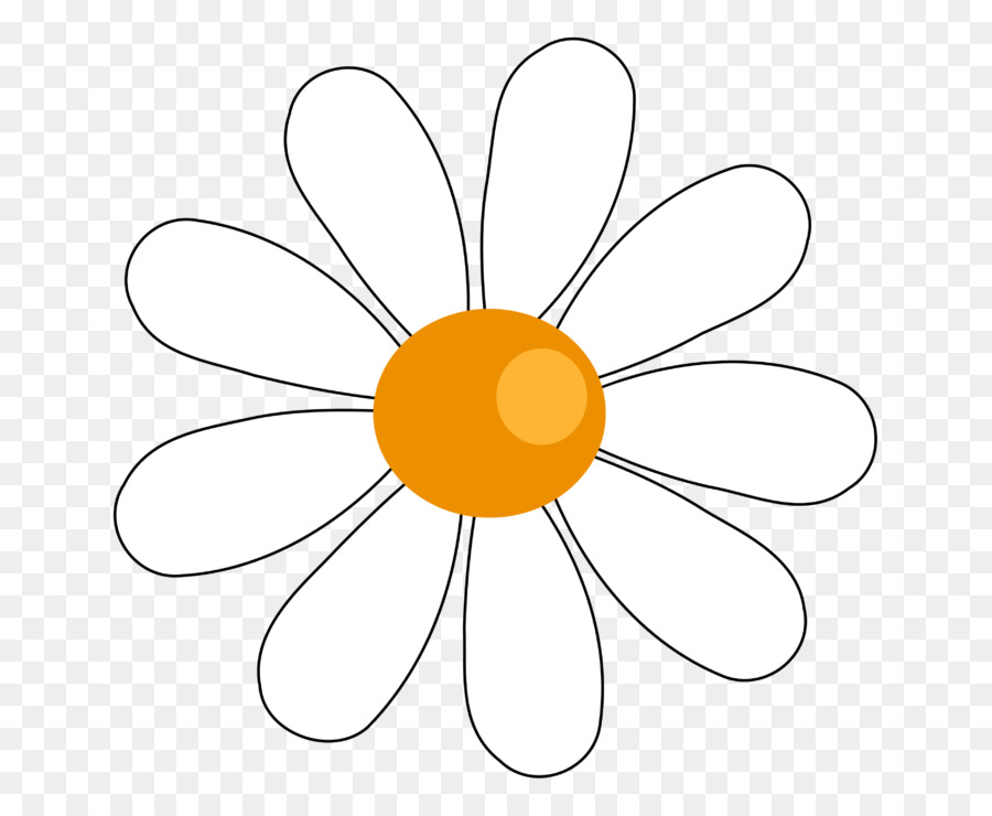 Común Daisy，Animación PNG