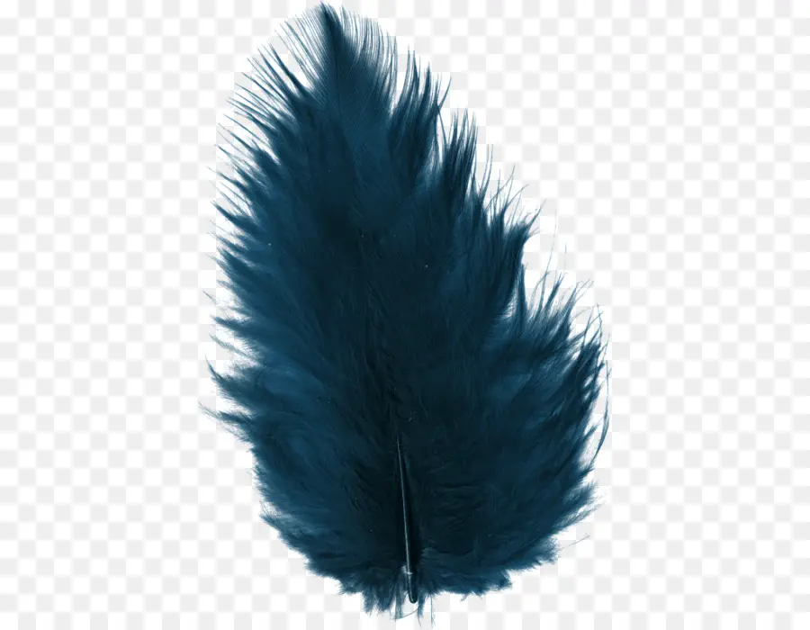 Pluma，Azul PNG