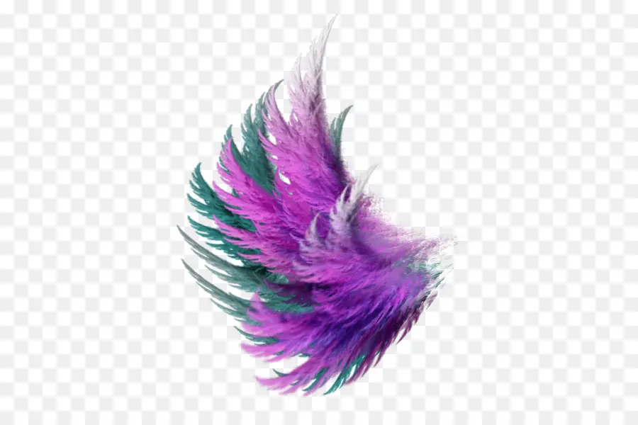 Alas Coloridas，Plumas PNG