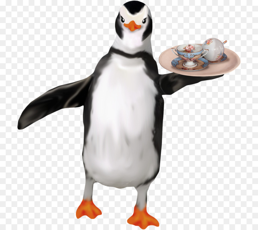 Pingüino，Servicio PNG