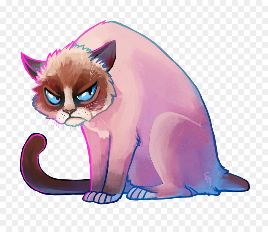 Bigotes，Gatito PNG