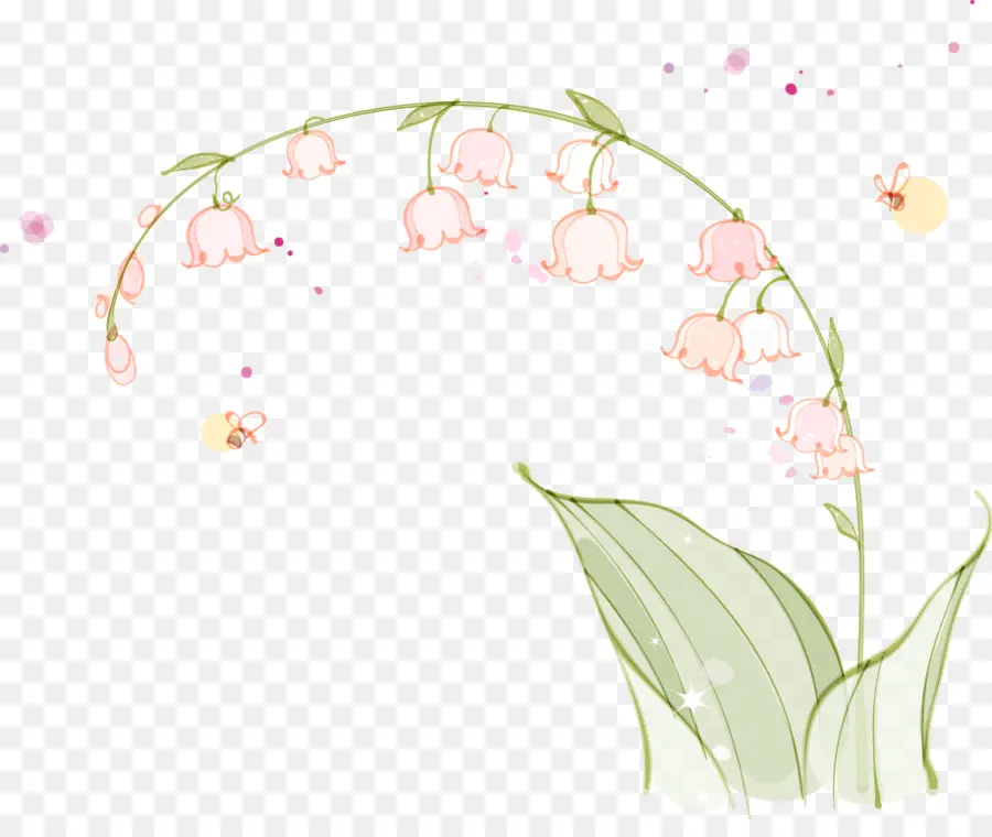 Diseño Floral，Lirio De Los Valles PNG