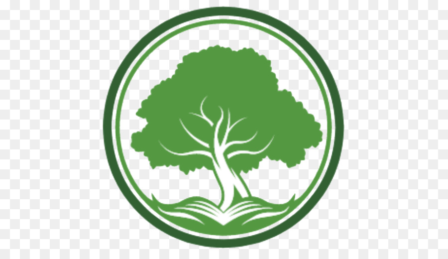 Árbol，Planta PNG