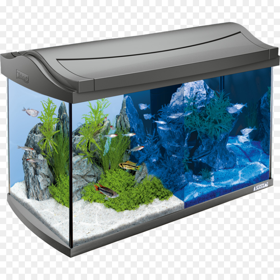 Acuario，Pecera PNG