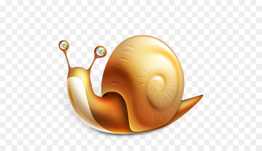 Caracol，Caracol De Mar PNG