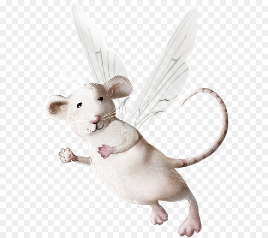 Ratón，Rata PNG