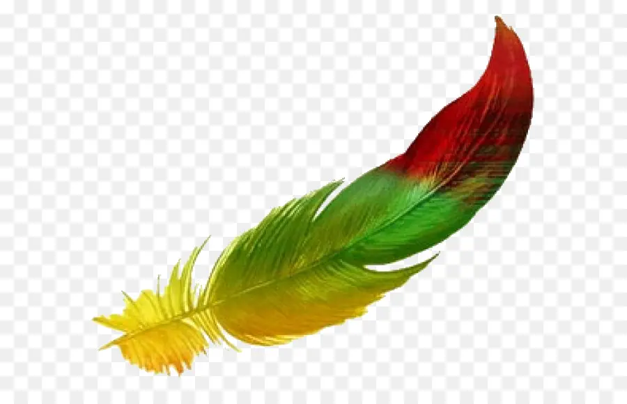 Pluma Colorida，Arcoíris PNG