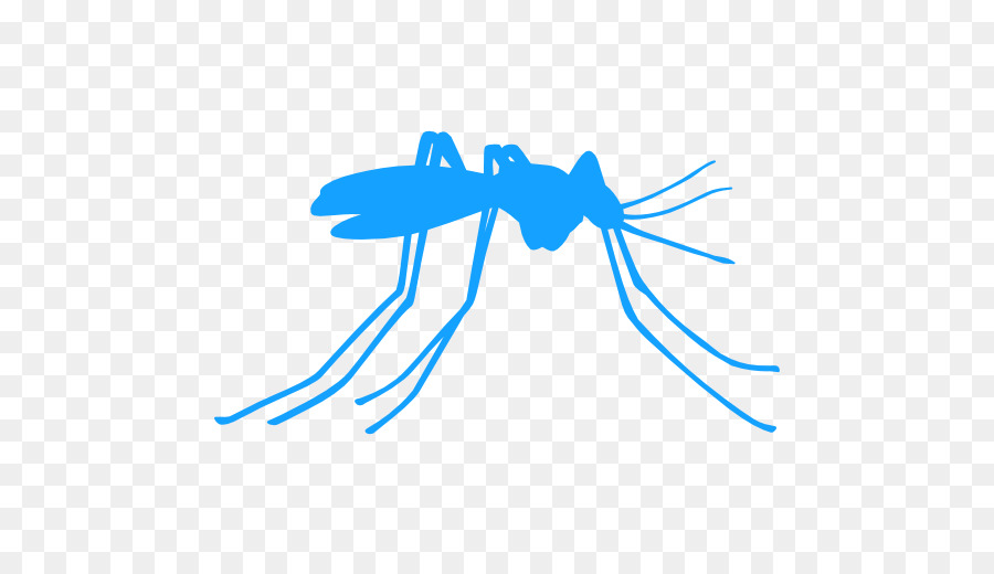 Mosquito，Parásito PNG