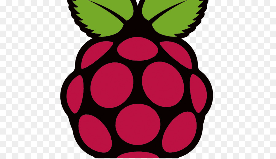 Raspberry Pi，Equipo PNG