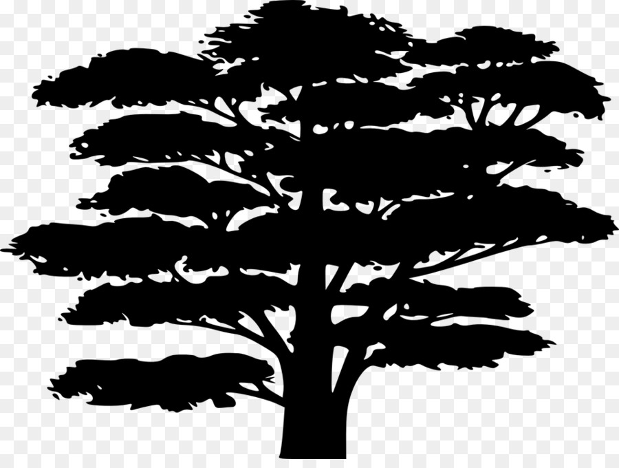 Silueta，árbol PNG
