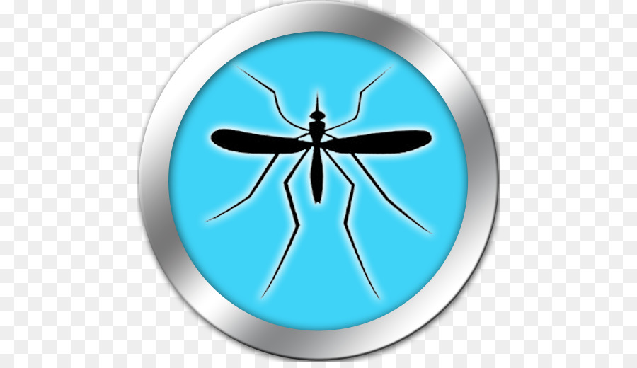 Mosquito，Aplastada Errores PNG