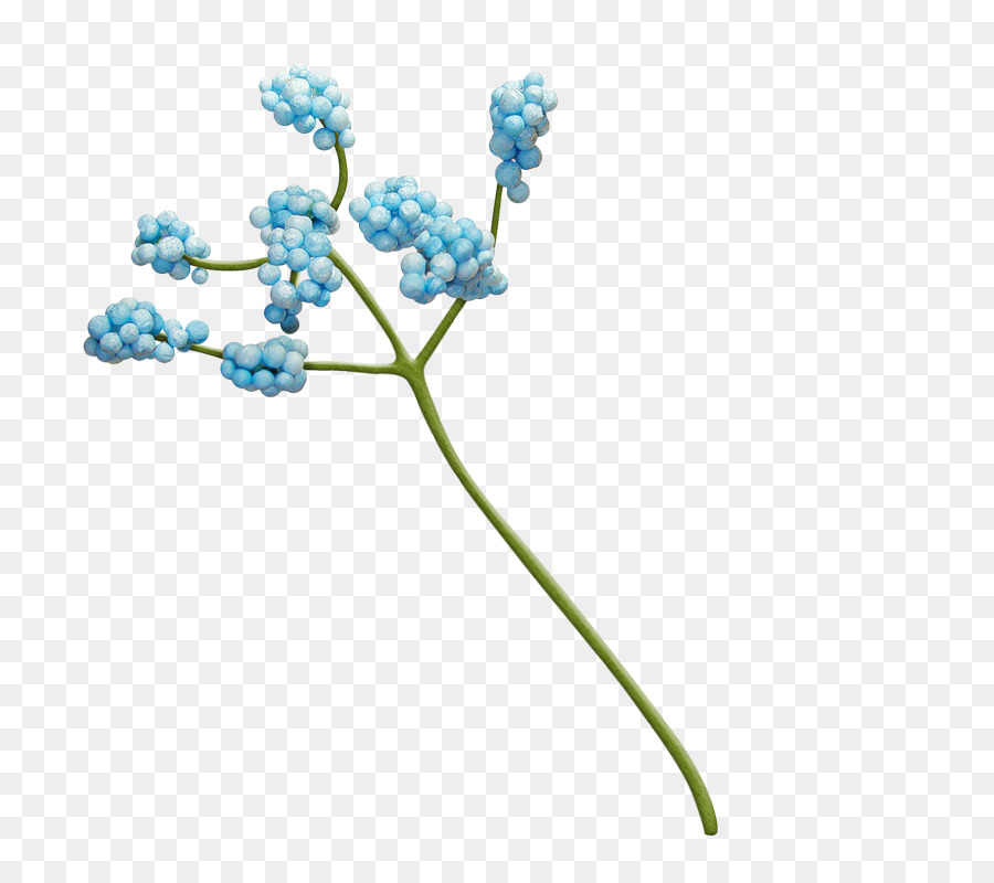 Azul，Flor PNG