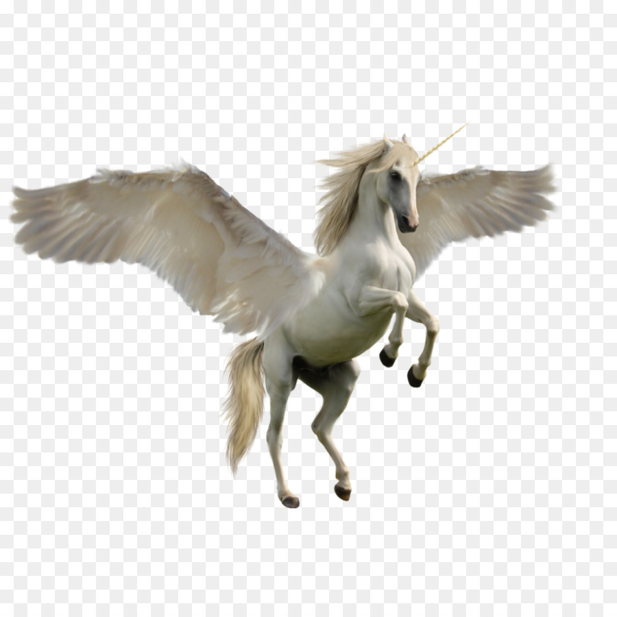 Unicornio Alado，Fantasía PNG