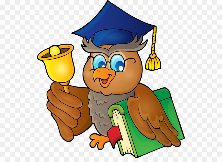 Búho De Graduación，Búho PNG