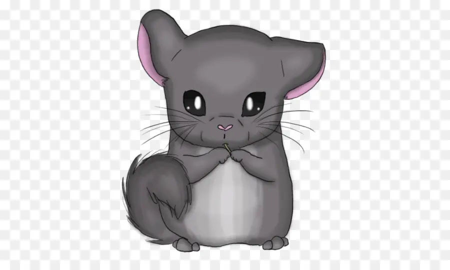 Chinchilla，Lindo PNG