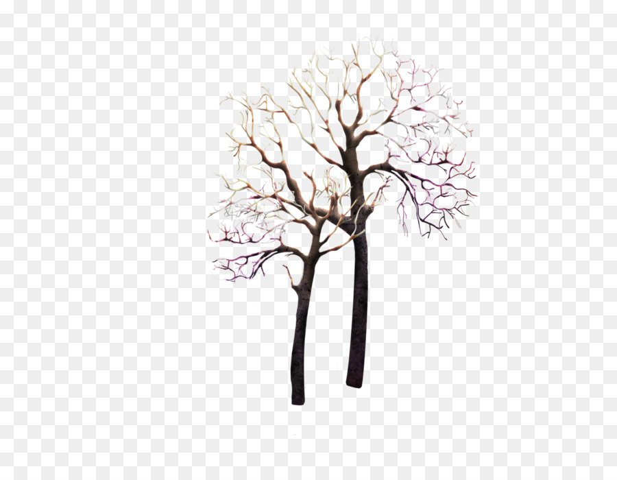 árbol Desnudo，Invierno PNG