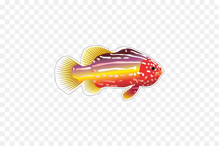 Los Peces，Dibujo PNG