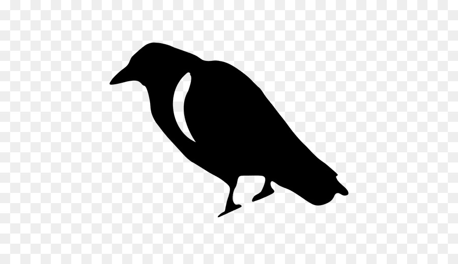 Cuervo，Raven Común PNG