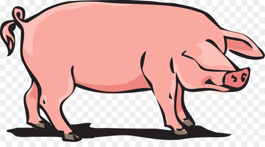 Cerdo Rosa，Cerdo PNG