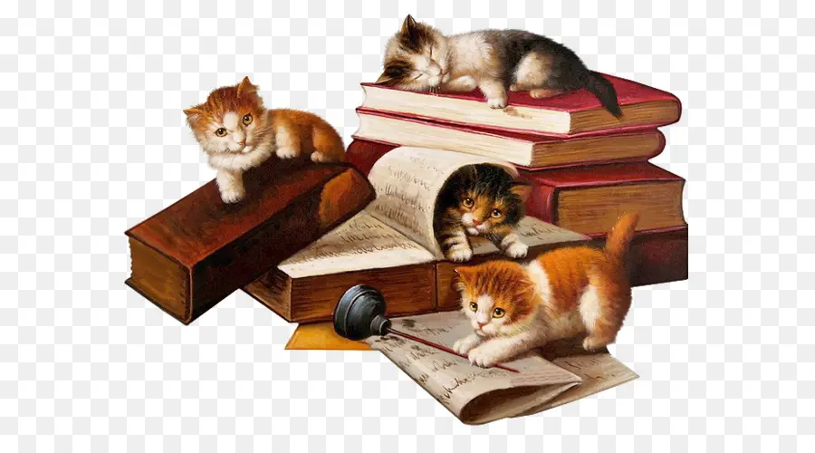 Gato，La Literatura PNG